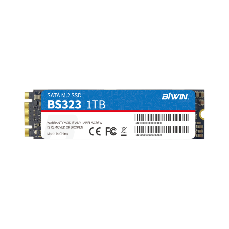 M.2 SATA SSD